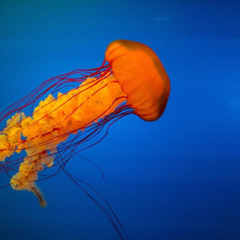 Logitech MX Master 3S Wireless Mouse